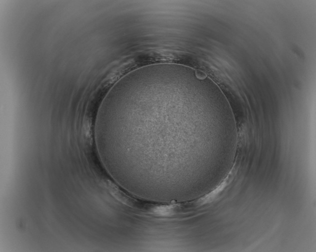 X0000113590178200909251143