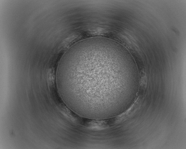 X0000113590179200909251143