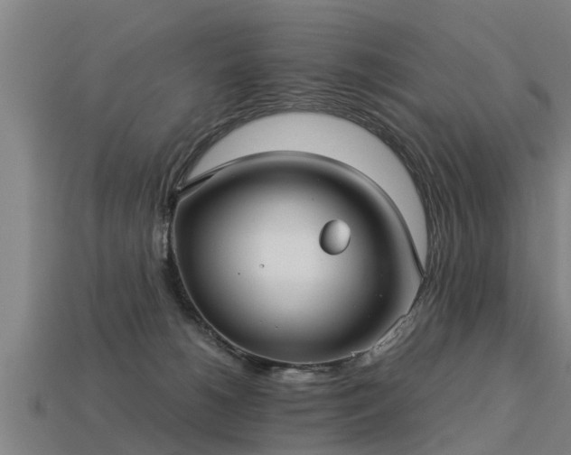 X0000113590180200909251143