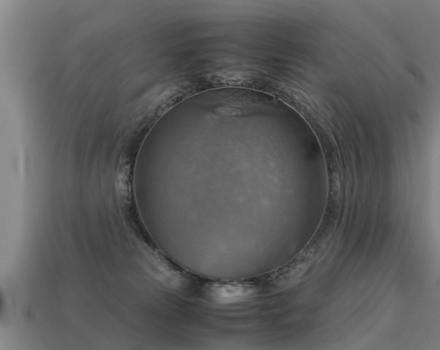 X0000113590181200909251143