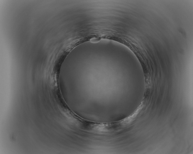 X0000113590182200909251143