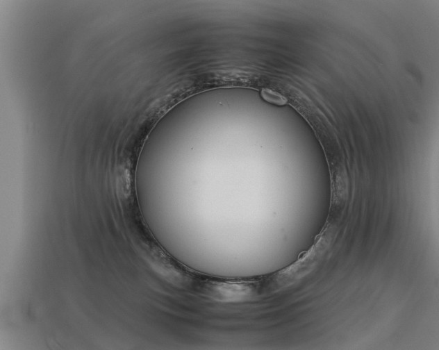 X0000113590183200909251143