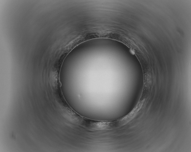 X0000113590184200909251143