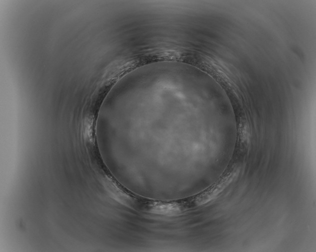 X0000113590185200909251143