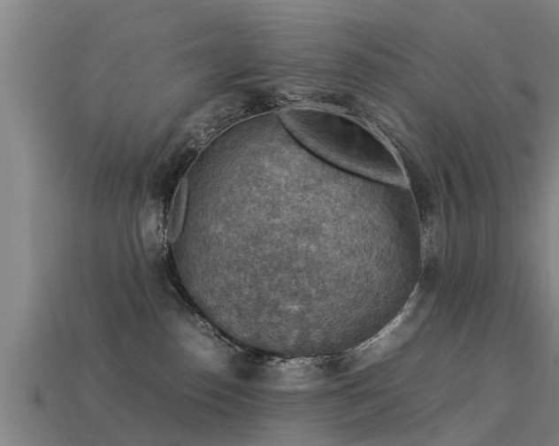 X0000113590186200909251143