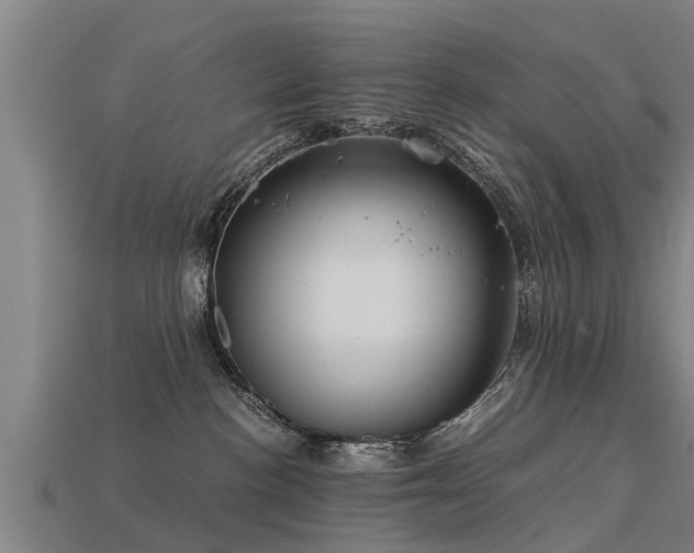 X0000113590188200909251143