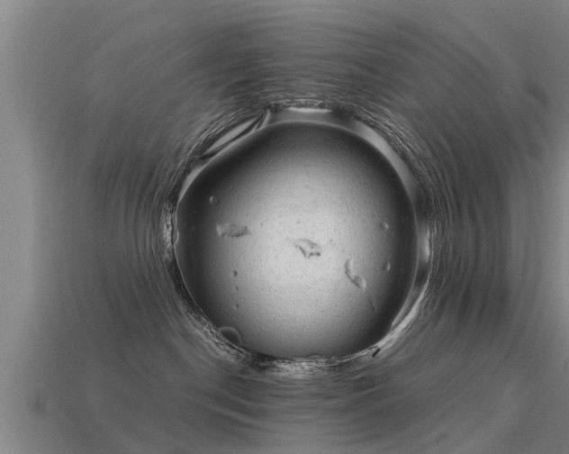 X0000113590190200909251143