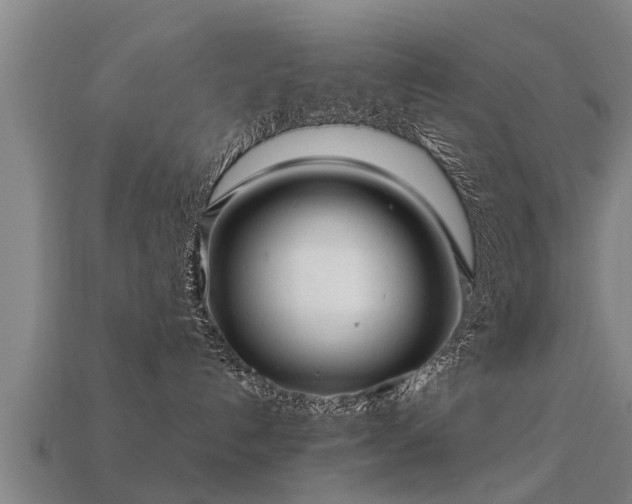 X0000113590192200909251143