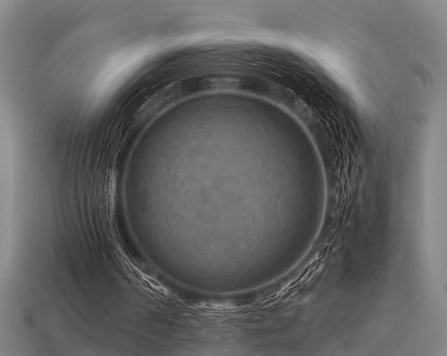 X0000113590194200909251143