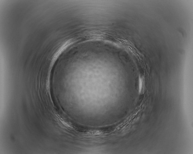 X0000113590195200909251143