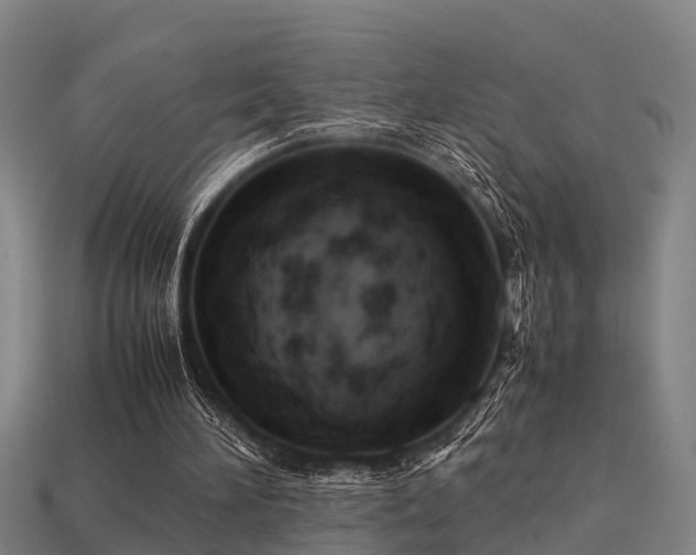 X0000113590196200909251143