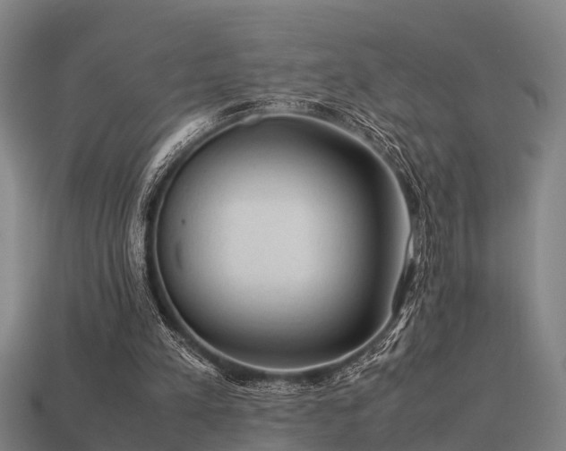 X0000113590197200909251143