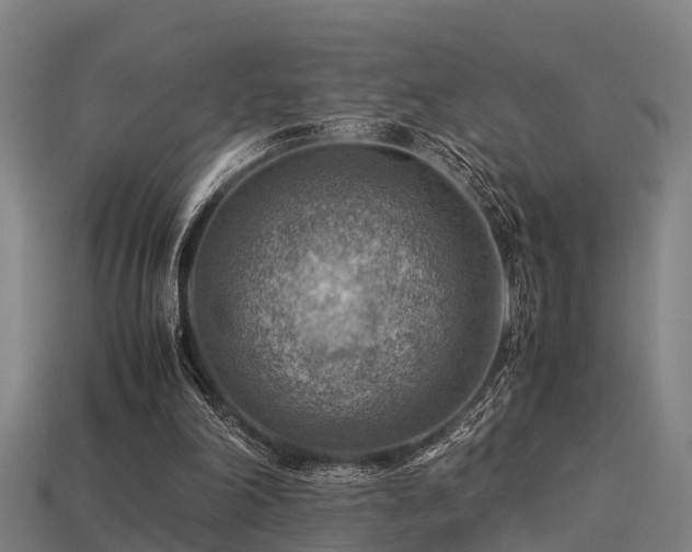 X0000113590198200909251143