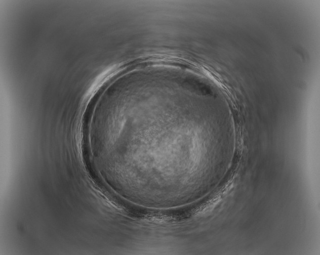 X0000113590199200909251143