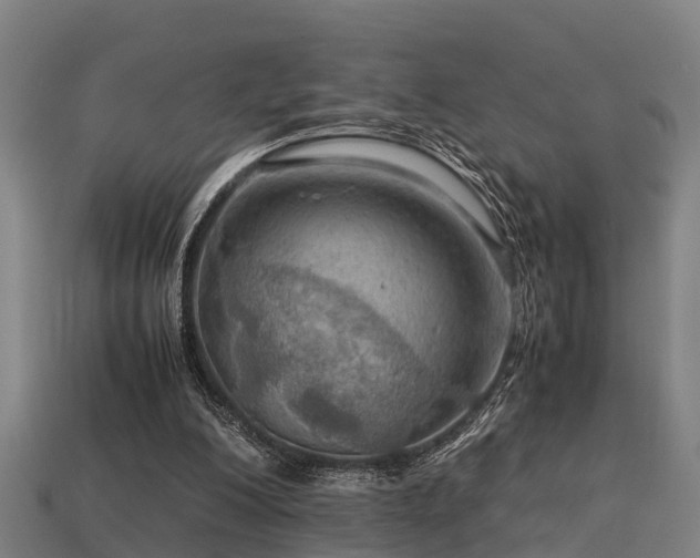 X0000113590200200909251143