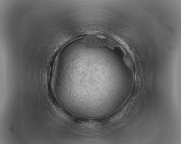 X0000113590201200909251143