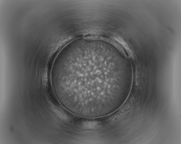 X0000113590202200909251143