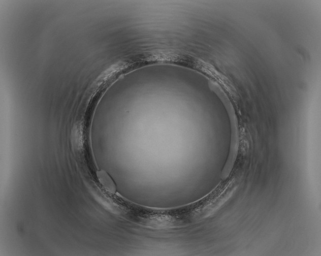 X0000113590203200909251143