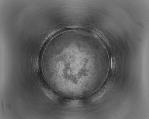 X0000113590204200909251143