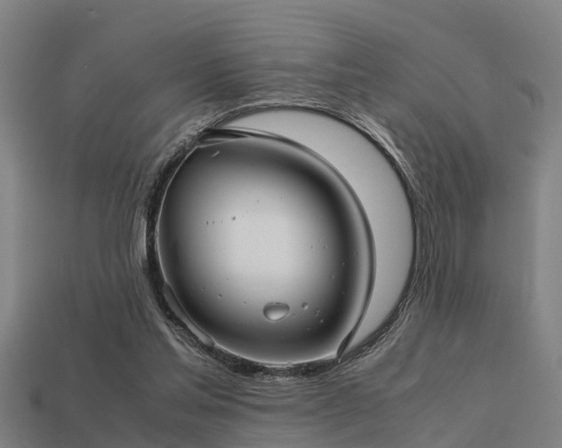 X0000113590205200909251143