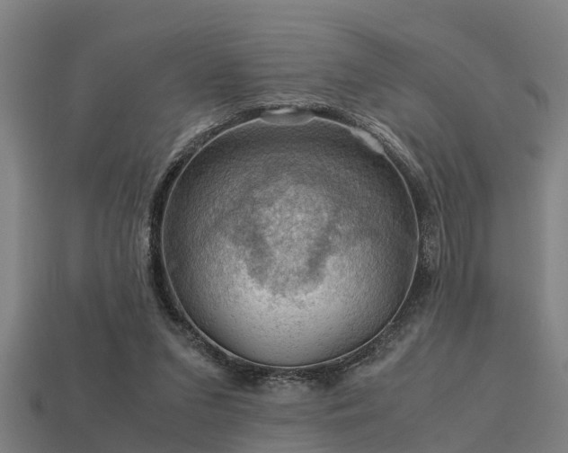 X0000113590207200909251142