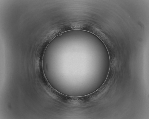 X0000113590209200909251142