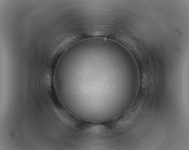 X0000113590210200909251142