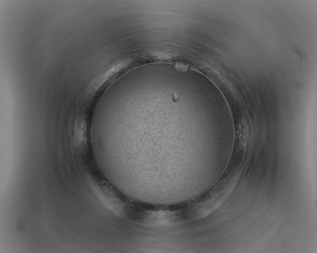 X0000113590212200909251142