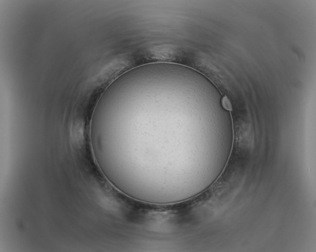 X0000113590213200909251142