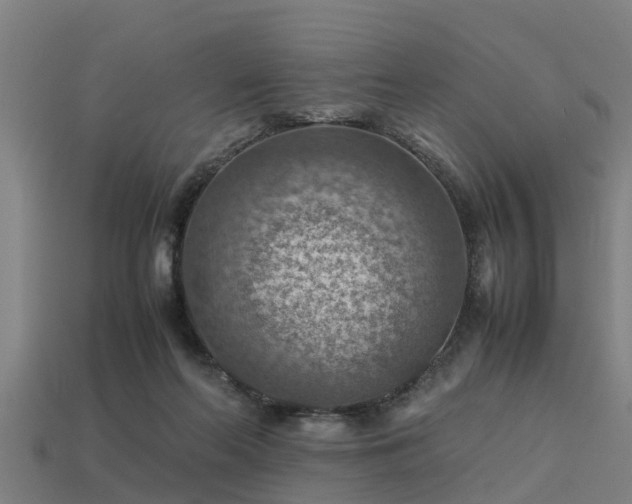 X0000113590214200909251142