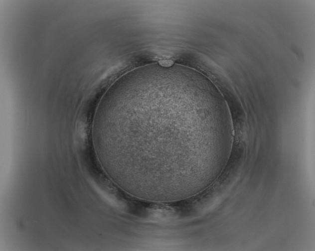 X0000113590215200909251142