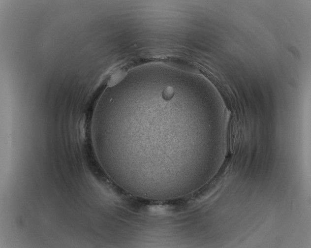 X0000113590216200909251142