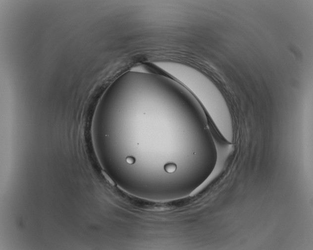 X0000113590217200909251142