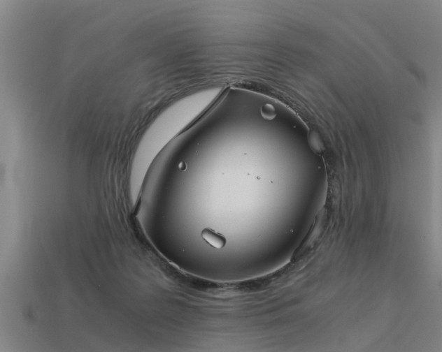 X0000113590219200909251142