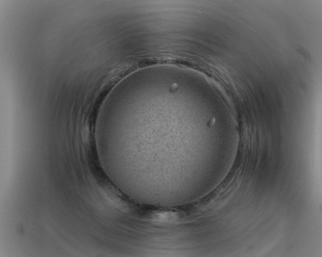 X0000113590220200909251142