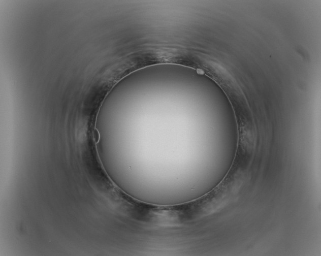 X0000113590221200909251142