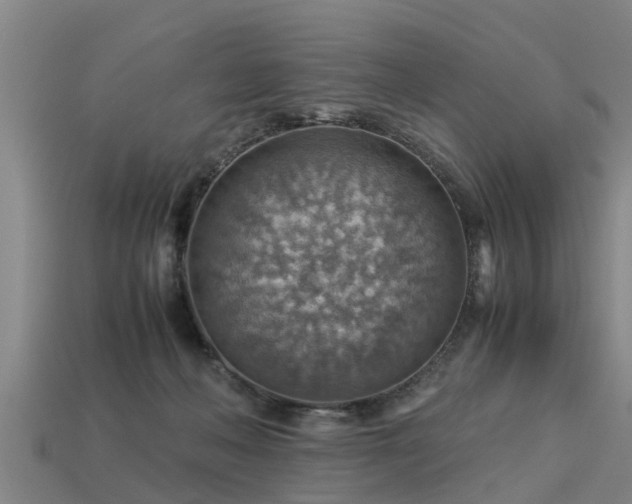 X0000113590222200909251142