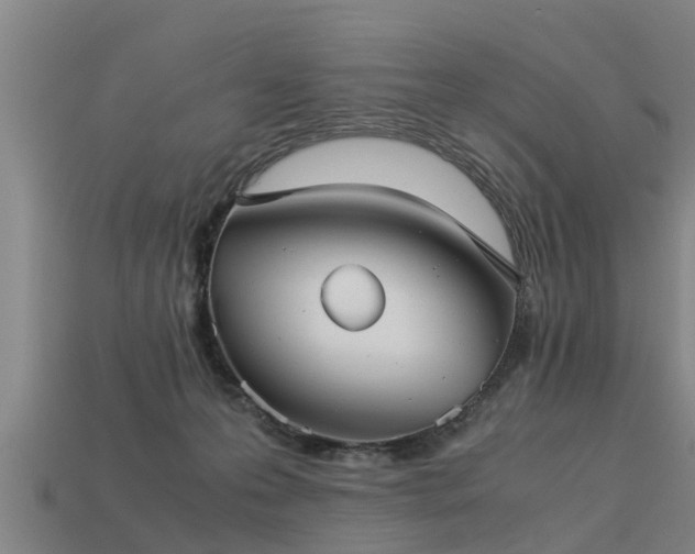 X0000113590223200909251142