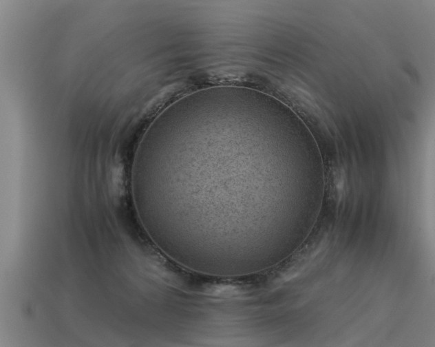 X0000113590224200909251142