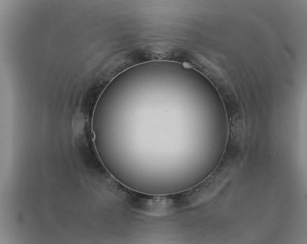 X0000113590225200909251142