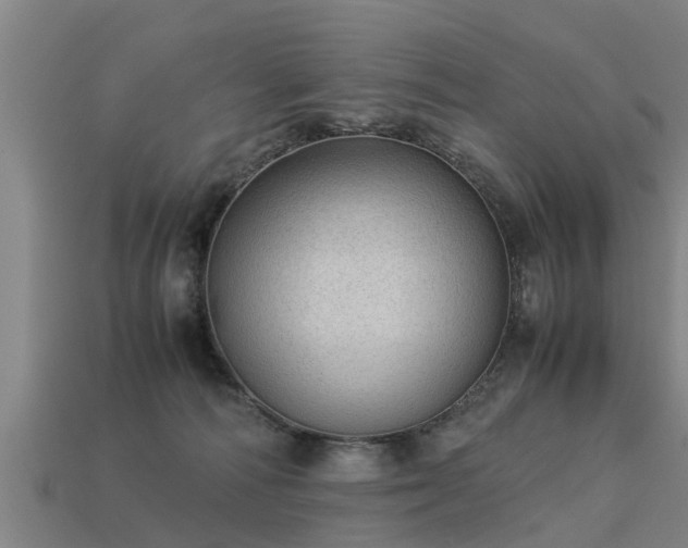 X0000113590226200909251142