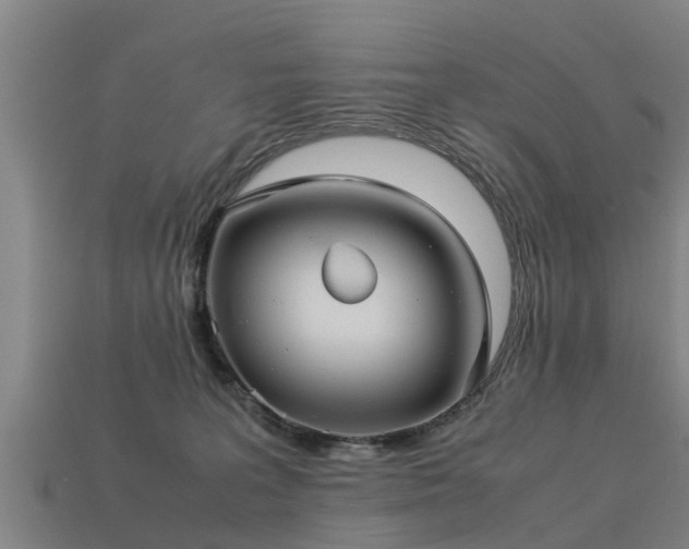 X0000113590227200909251142