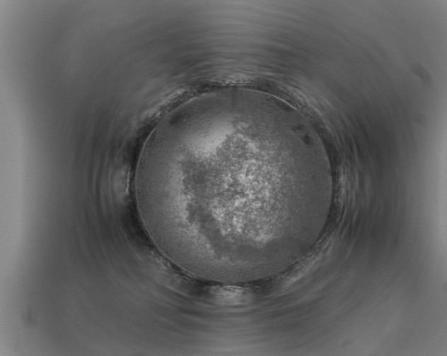 X0000113590230200909251142