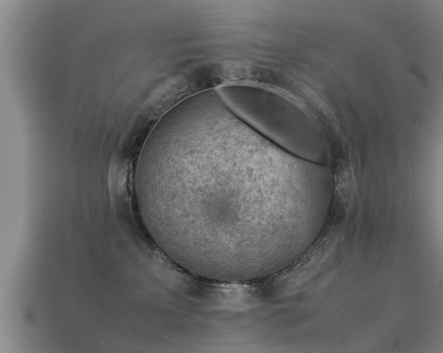 X0000113590233200909251142