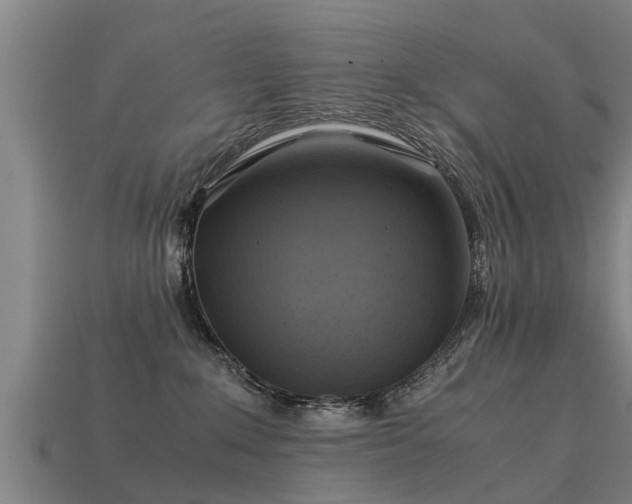 X0000113590235200909251142