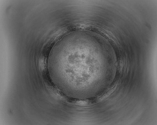 X0000113590236200909251142