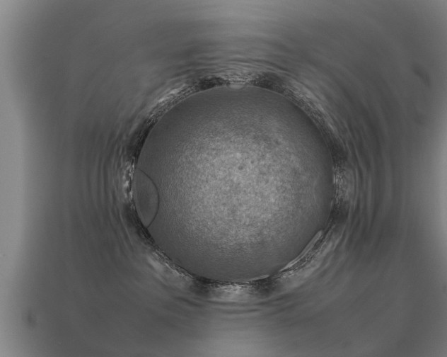 X0000113590237200909251142