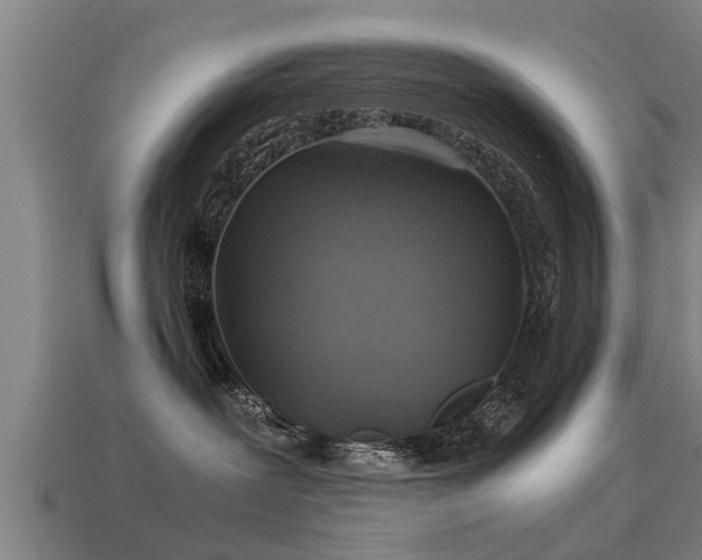 X0000113590239200909251142