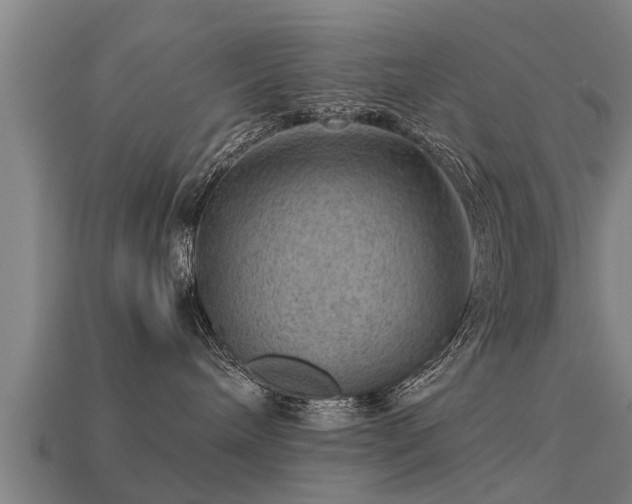 X0000113590240200909251142