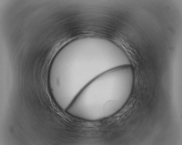 X0000113590241200909251141